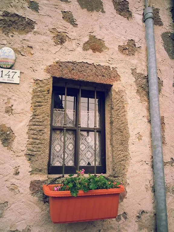 La Casa Di Adelina Apartment Vivo d'Orcia